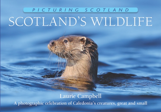 Jacket of Picturing Scotland: Scotland's Wildlife